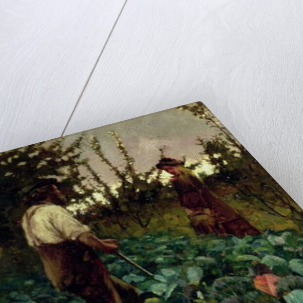 Cabbage Garden, 1877 by Arthur Melville