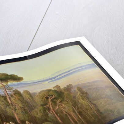 Travellers in a wood by Edward Lear