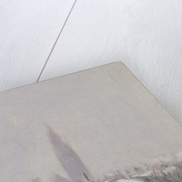 Duke Street under Snow, Edinburgh, 1870 by George Reid