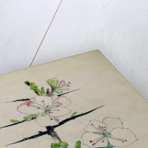 Blackthorn, Chiddingstone, Kent, 1910 by Charles Rennie & MacDonald Mackintosh Margaret (1864-1933) Mackintosh