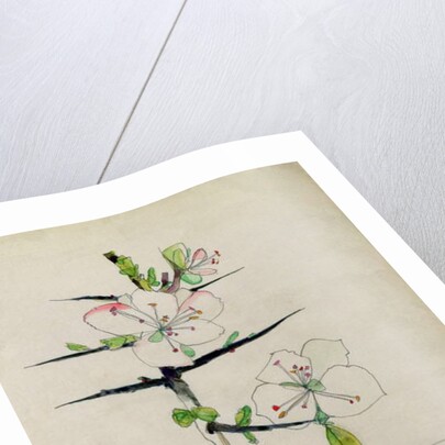 Blackthorn, Chiddingstone, Kent, 1910 by Charles Rennie & MacDonald Mackintosh Margaret (1864-1933) Mackintosh