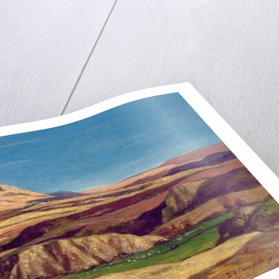 The Uplands of Lorne by David Young Cameron