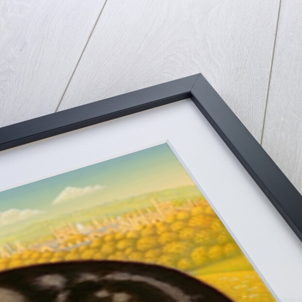 The Oxford Cat, 2001 by Frances Broomfield