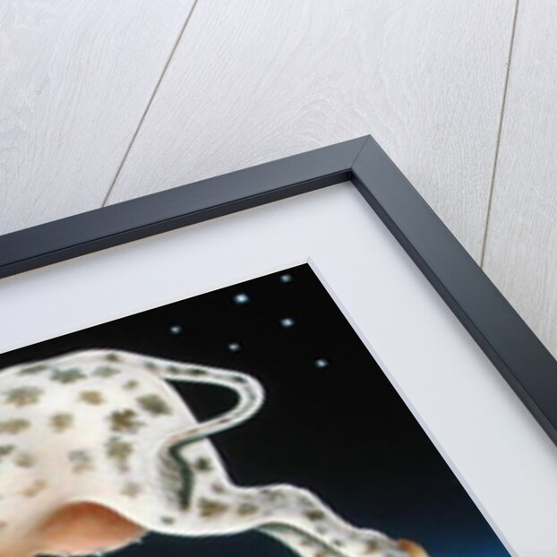 The Cat and the Fiddle, 2004 by Frances Broomfield