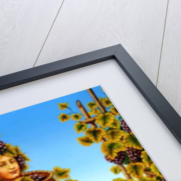 The Vigernon's Habit, 1998 by Frances Broomfield