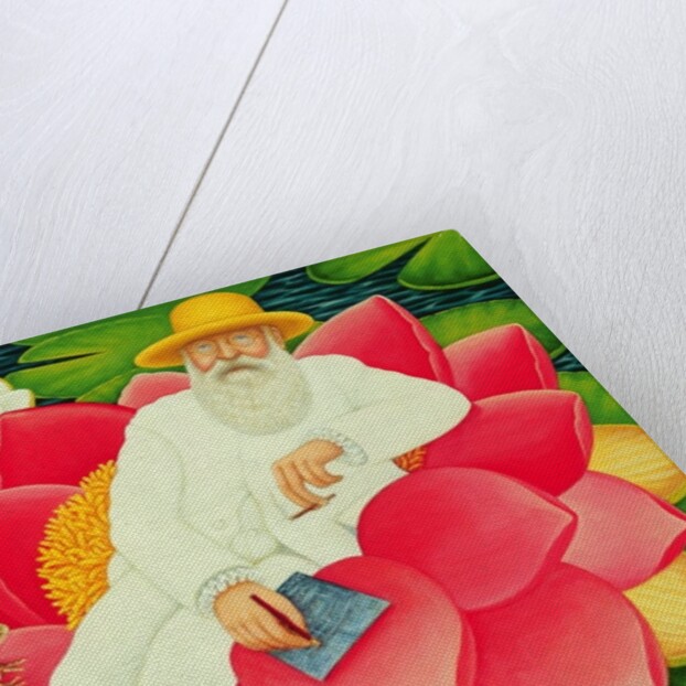 Monet's Waterlilies, 1996 by Frances Broomfield