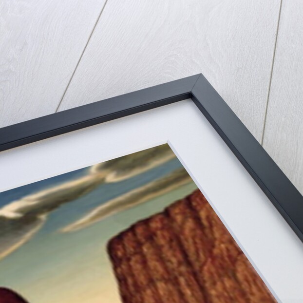 The Metamorphosis of a Narcissist, 1999 by Frances Broomfield