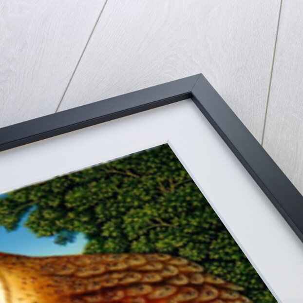 The White Garden, 1997 by Frances Broomfield