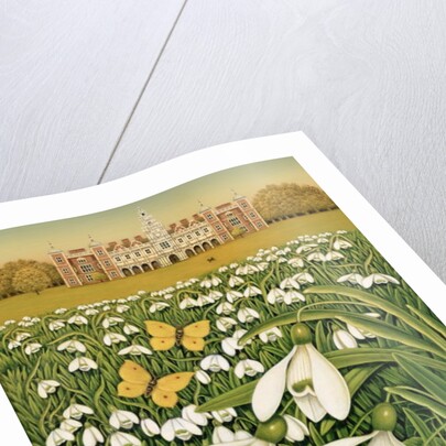 Snowdrop Day, Hatfield House, 1999 by Frances Broomfield