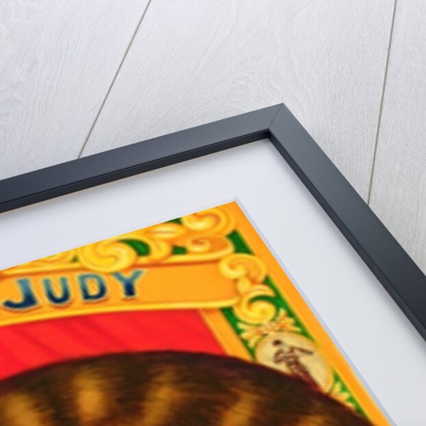 Muffin, The Covent Garden Cat, 1996 by Frances Broomfield