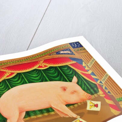 Toby the Learned Pig, 1998 by Frances Broomfield