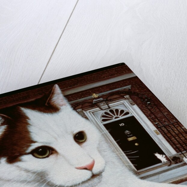 Wilberforce, the Number 10 Cat, 1987 by Frances Broomfield