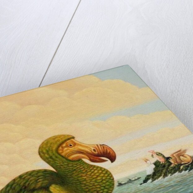 The Dodo, 1993 by Frances Broomfield