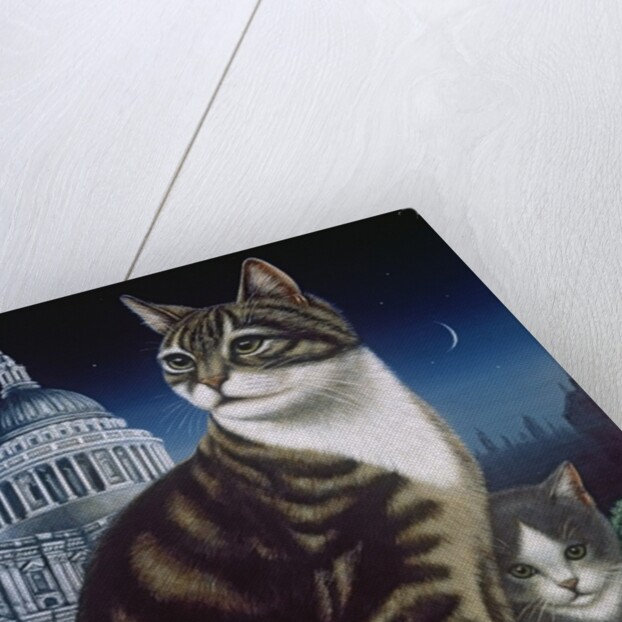 Faith, the St. Pauls Cat, 1995 by Frances Broomfield