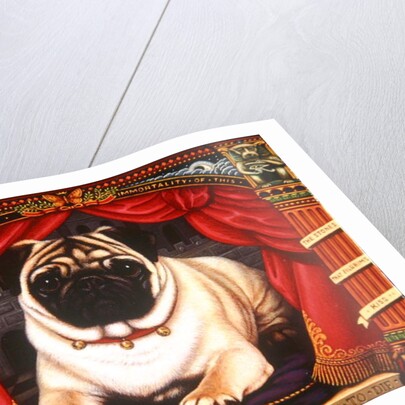 Nabokov's Pug, 2006 by Frances Broomfield