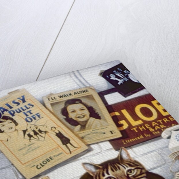 Beerbohm, the theatre cat by Frances Broomfield