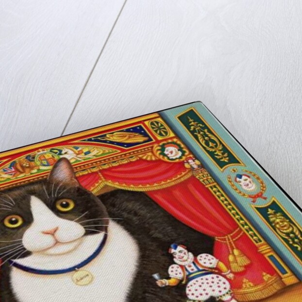 Ambrose the Theatre Cat, 2007 by Frances Broomfield