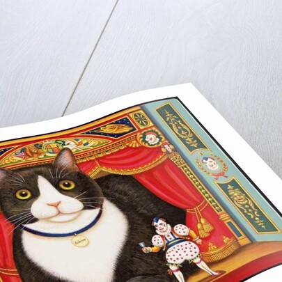 Ambrose the Theatre Cat, 2007 by Frances Broomfield