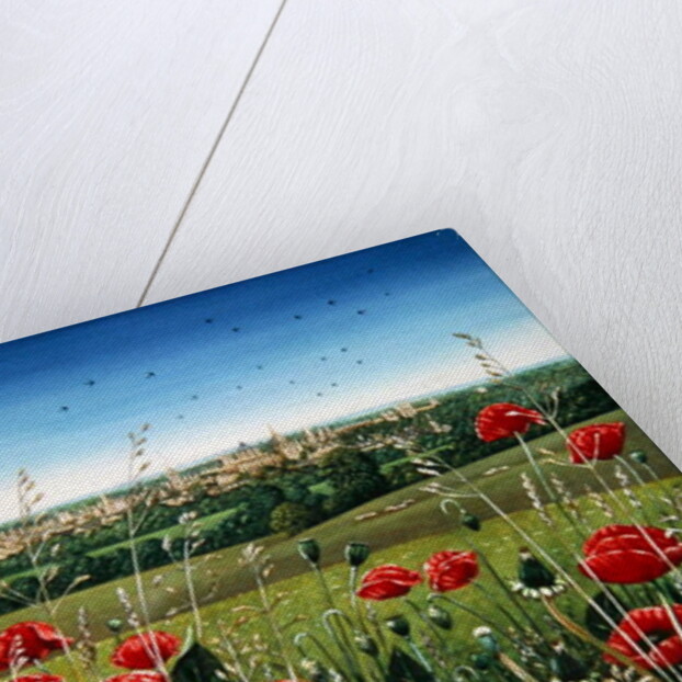 Oxford / Poppies, 1983 by Frances Broomfield