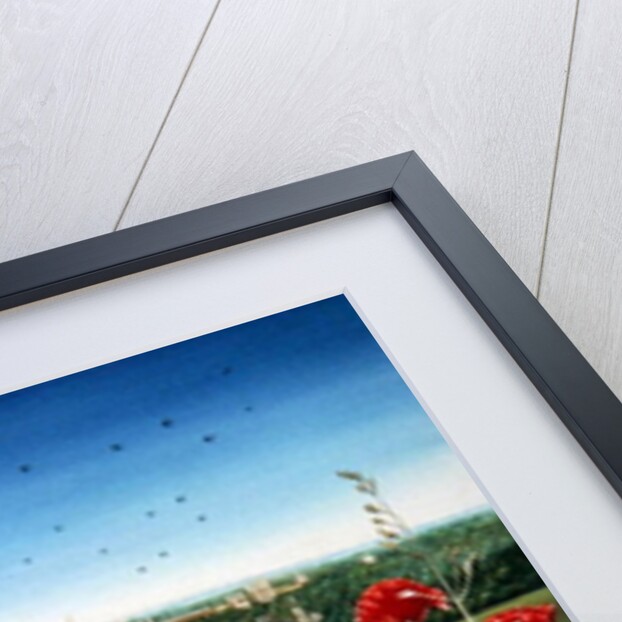 Oxford / Poppies, 1983 by Frances Broomfield