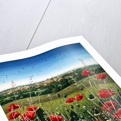 Oxford / Poppies, 1983 by Frances Broomfield