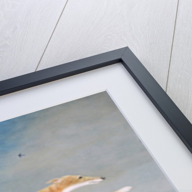 Mick the Miller, 1992 by Frances Broomfield