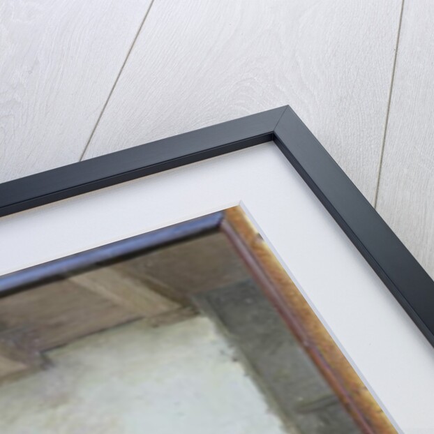 Caught in the Act by Francesco Bergamini