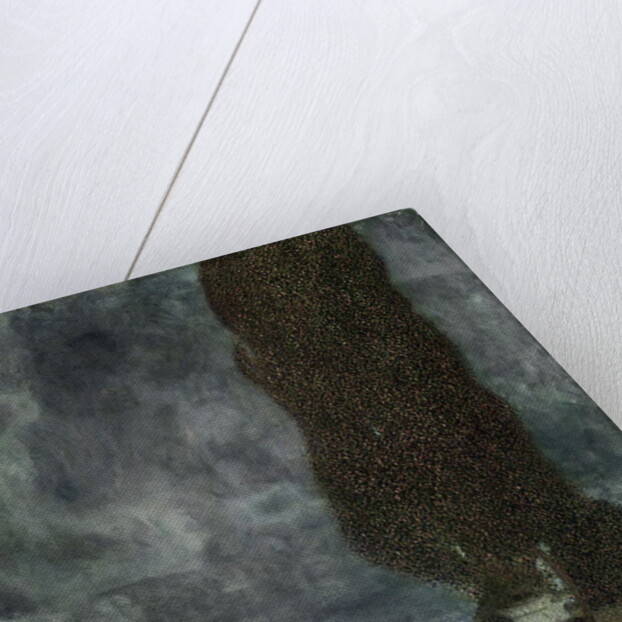 Approaching Thunderstorm, 1903 by Gustav Klimt