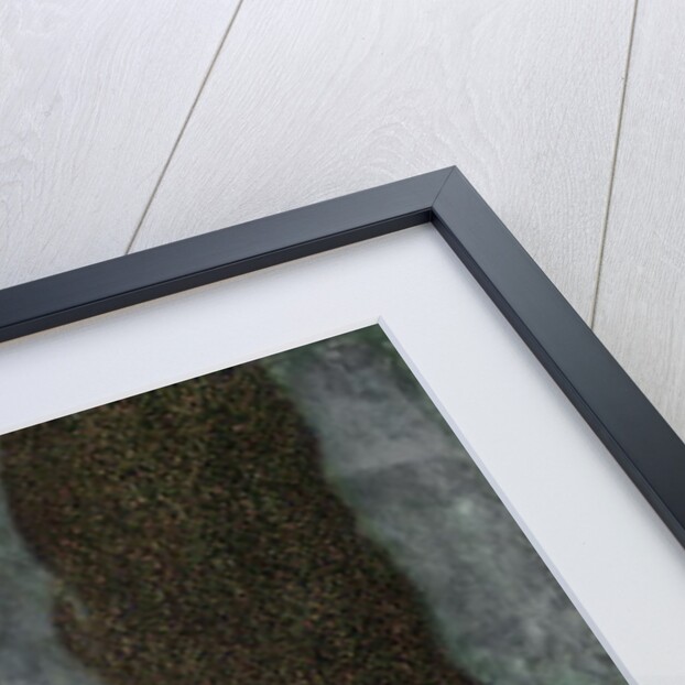 Approaching Thunderstorm, 1903 by Gustav Klimt