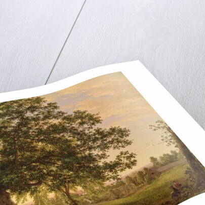 The Charter Oak at Hartford, c.1846 by Frederic Edwin Church