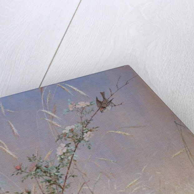 Wild Roses Among Rye, 1874 by Fidelia Bridges