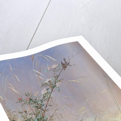 Wild Roses Among Rye, 1874 by Fidelia Bridges