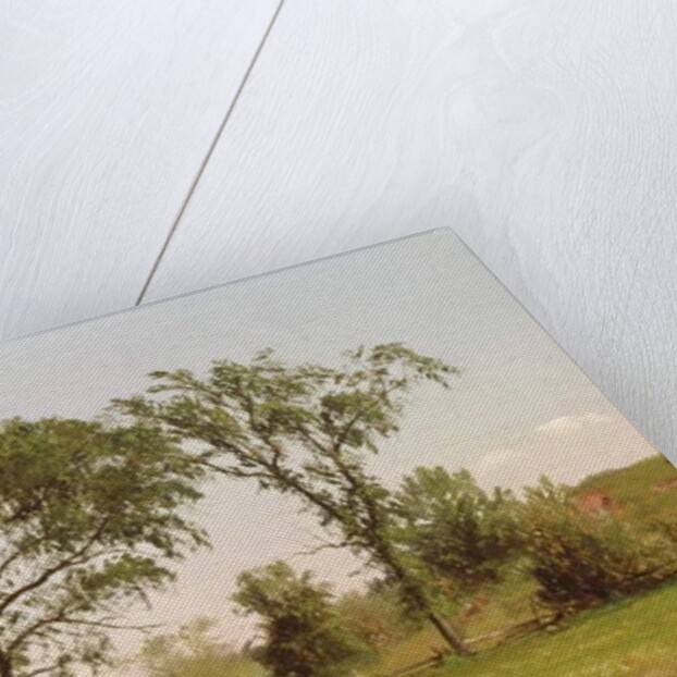 Wallingford, Connecticut, 1867 by John Williamson