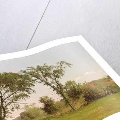 Wallingford, Connecticut, 1867 by John Williamson