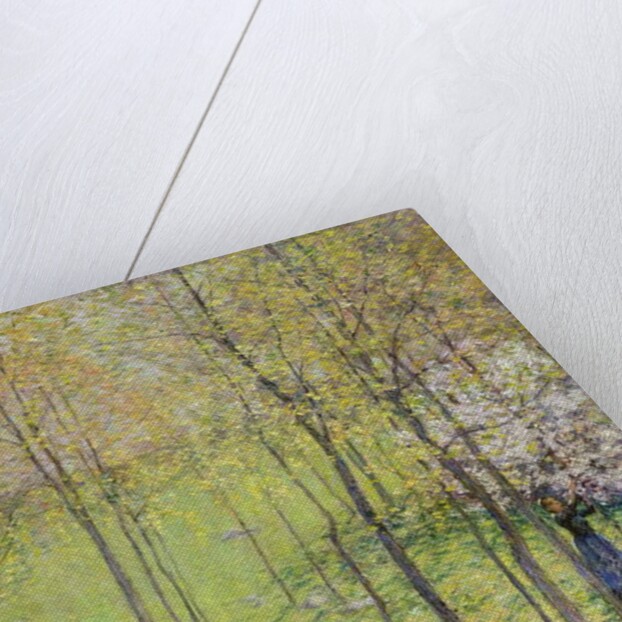 Dogwood Blossoms, 1906 by Willard Leroy Metcalf