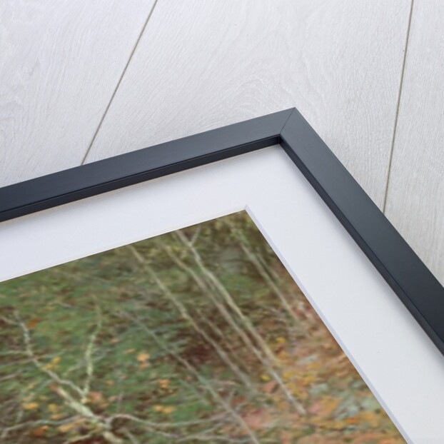 The Trout Pool, November, 1910 by Willard Leroy Metcalf