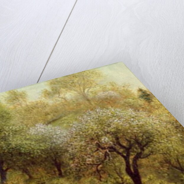 Girl on a Hillside, Apple Blossoms, 1874 by Martin Johnson Heade