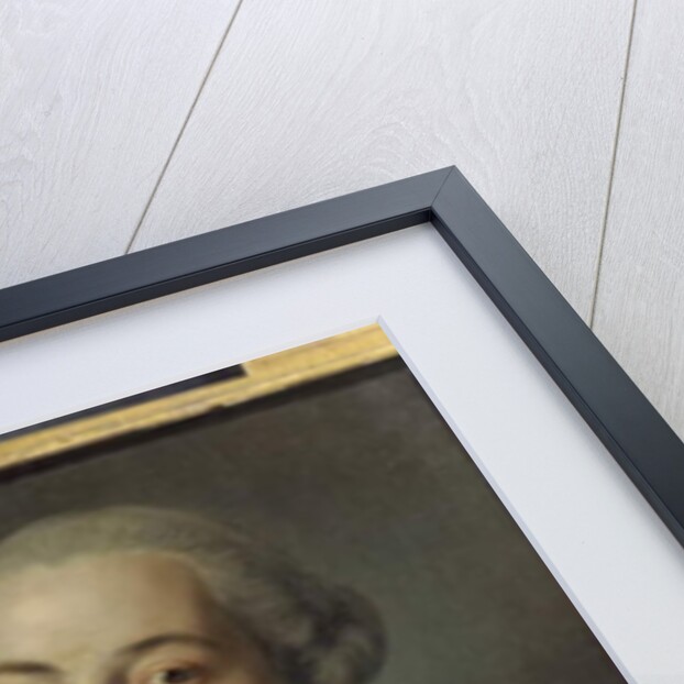 Portrait of Count Alexander Mihailovich Galitzine, 18th century by Pietro Antonio Rotari