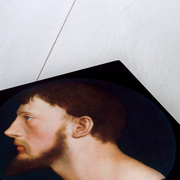 Portrait of Thomas Wyatt the Younger, c.1541 by Hans Holbein the Younger