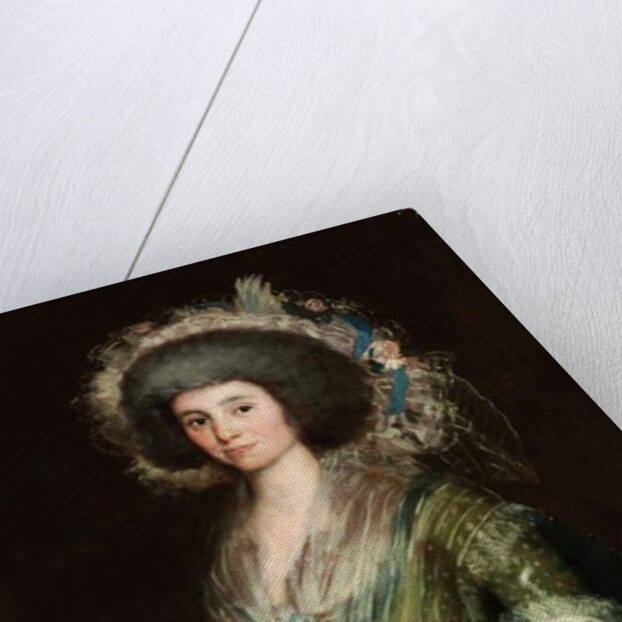 Portrait of Dona Manuela Camas, 1795 by Francisco Jose de Goya y Lucientes