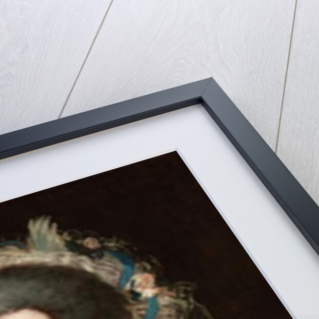 Portrait of Dona Manuela Camas, 1795 by Francisco Jose de Goya y Lucientes