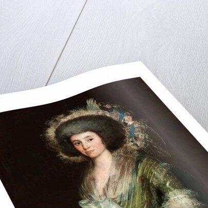 Portrait of Dona Manuela Camas, 1795 by Francisco Jose de Goya y Lucientes