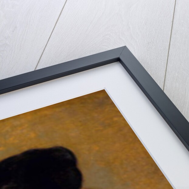 Self portrait with velvet cap, 1634 by Rembrandt Harmensz. van Rijn