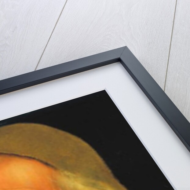 Head of an Old Man, c.1525 by Quentin Massys or Matsys