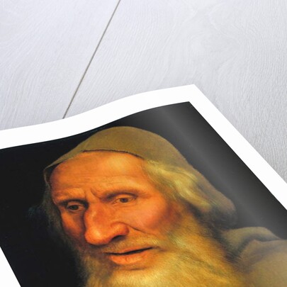 Head of an Old Man, c.1525 by Quentin Massys or Matsys