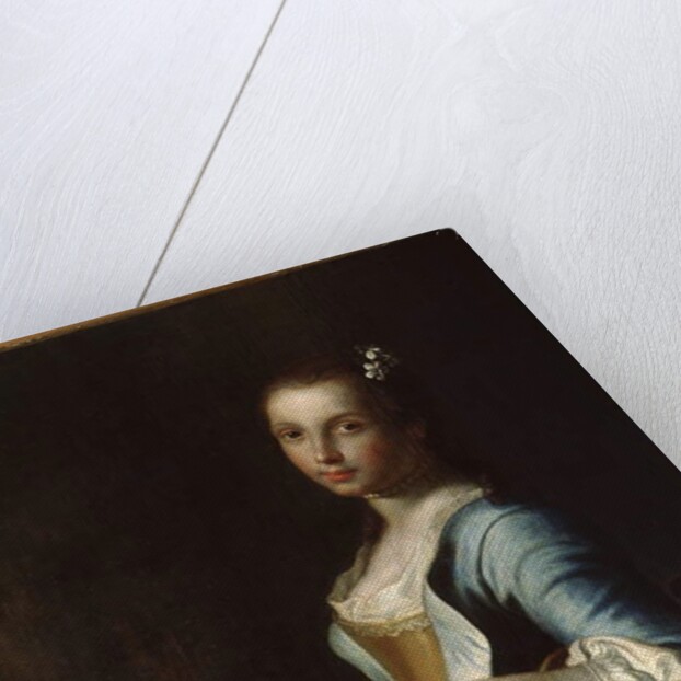 The Embroideress, 18th century by Pietro Antonio Rotari