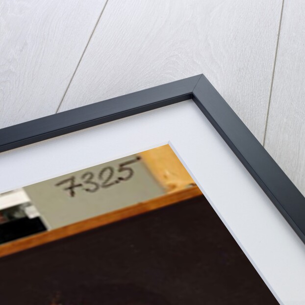 Portrait of an italian actress, 18th century by Pietro Antonio Rotari