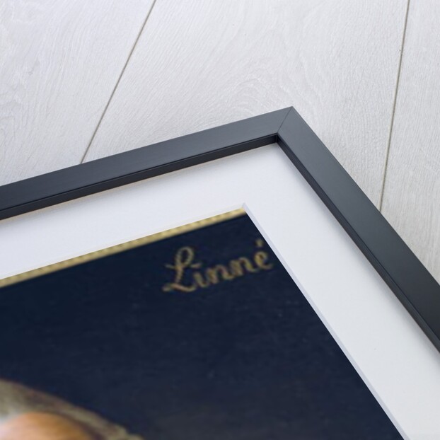 Portrait of Carl von Linne, 1775 by Alexander Roslin