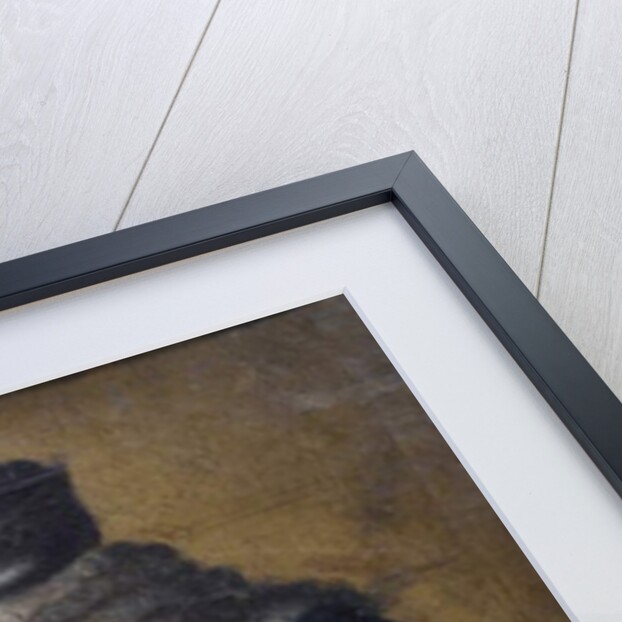 Portrait of Voltaire, 18th century by Jean Huber