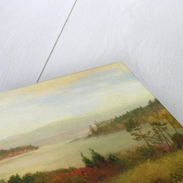 Raquette Lake, 1869 by Homer Dodge Martin